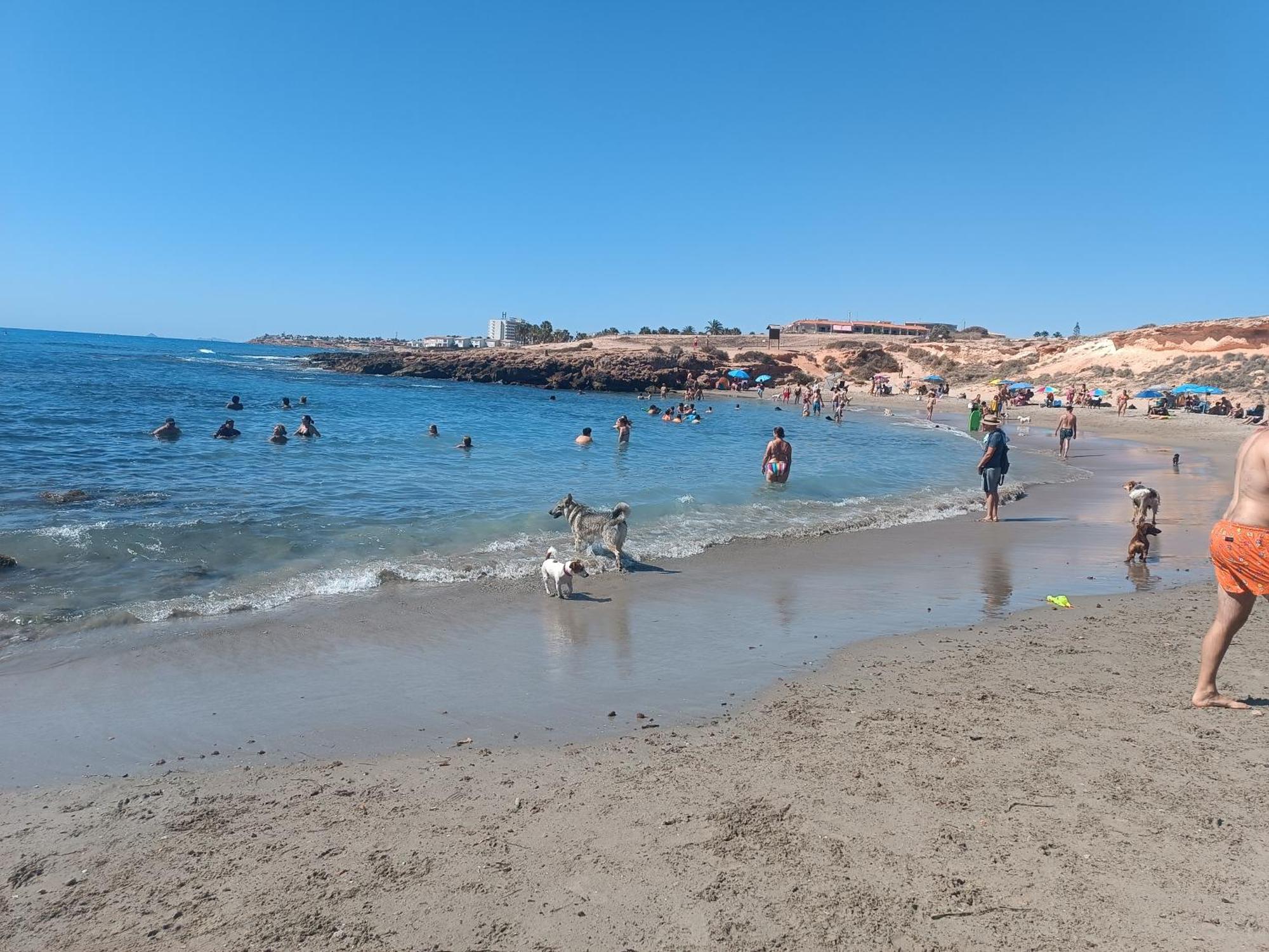 Апартаменты La Campana Dehesa de Campoamor  Экстерьер фото